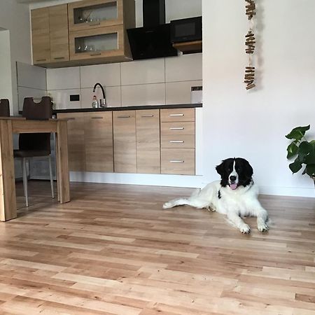 Apartmany A&Z Hořice na Šumavě Zewnętrze zdjęcie